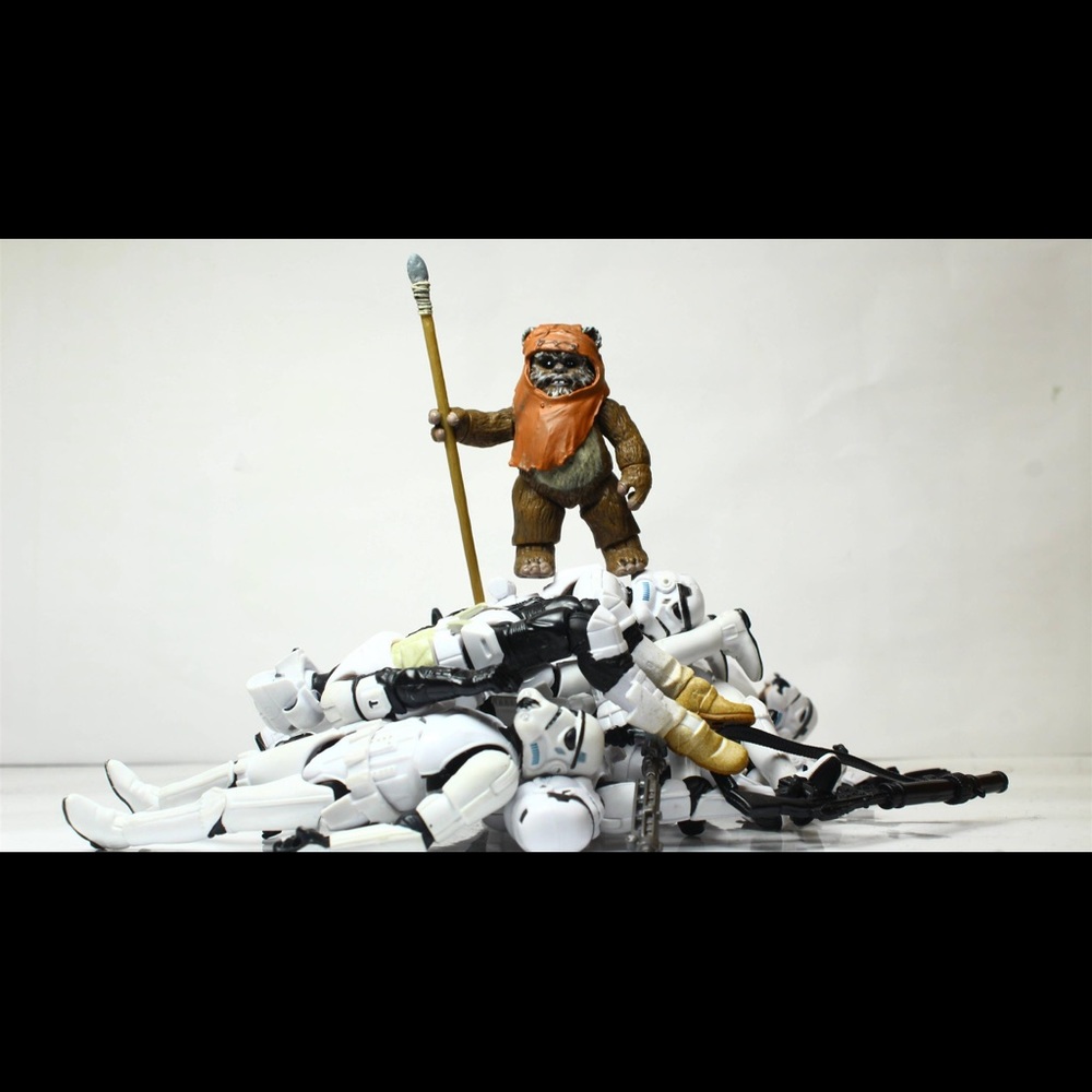 Meet your Posher, Erin P